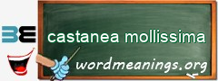 WordMeaning blackboard for castanea mollissima
